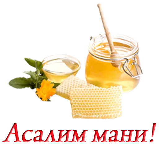 🐝 Стикер «Uzbek memes» для Telegram