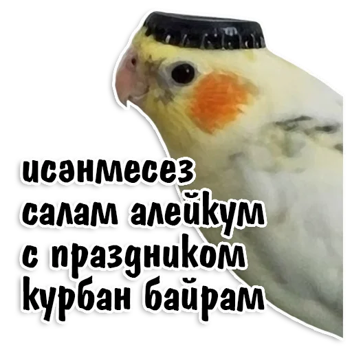 😃 Стикер «Tatar stickers» для Telegram