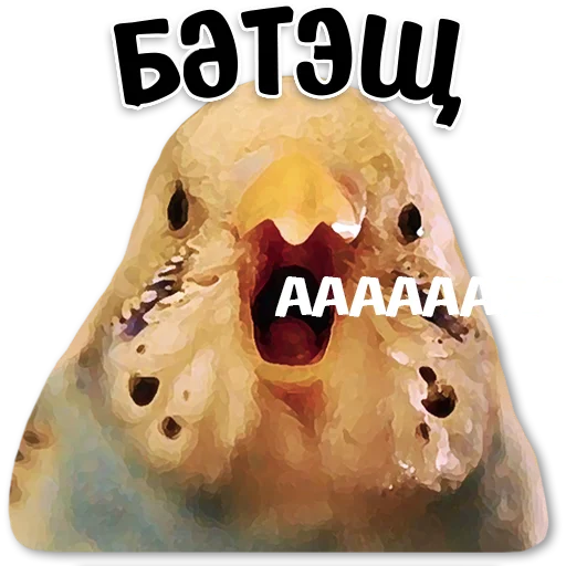 😱 Стикер «Tatar stickers» для Telegram