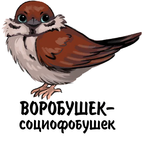 🦜 Стикер «TatFeodoridy» для Telegram