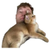 🥺 Эмодзи «tatwole» для Telegram