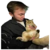 🐈 Эмодзи «tatwole» для Telegram