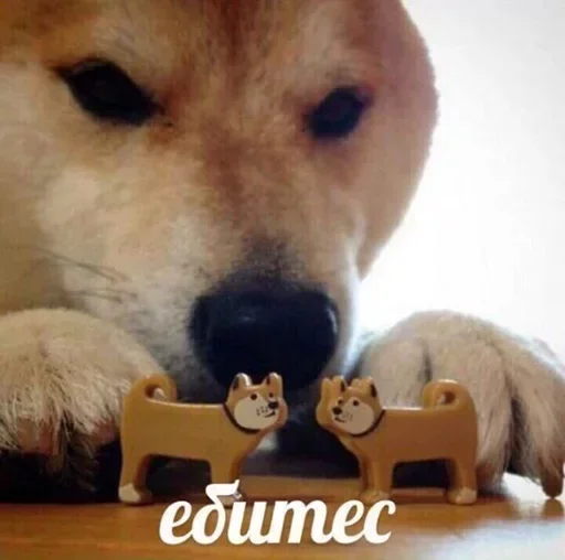 😏 Стикер «tavernachat» для Telegram
