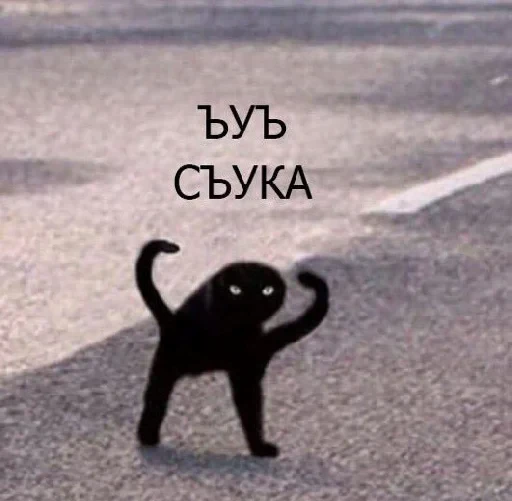 😡 Стикер «tavernachat» для Telegram