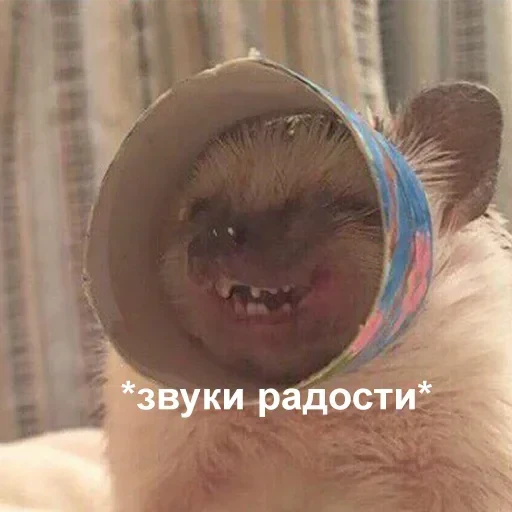 😀 Стикер «tavernachat» для Telegram