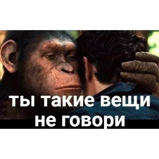 🤫 Стикер «tavernachat» для Telegram