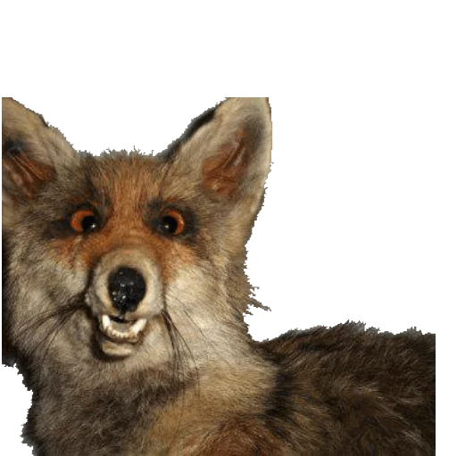 🐺 Стикер «taxiderm» для Telegram