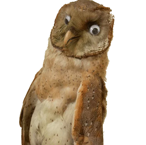 😕 Стикер «taxiderm» для Telegram
