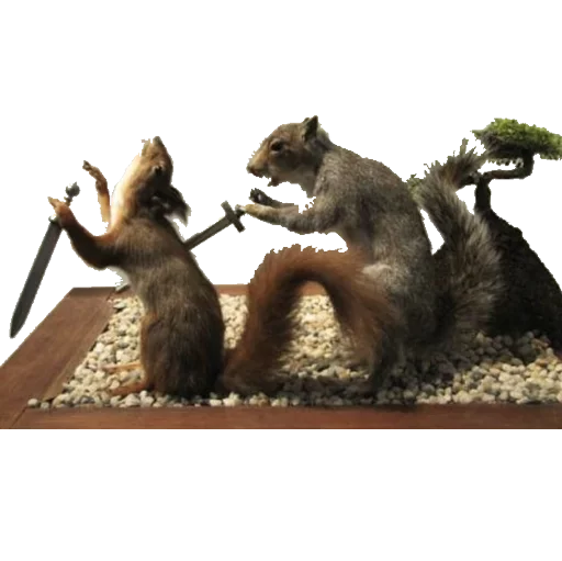 🐀 Стикер «taxiderm» для Telegram