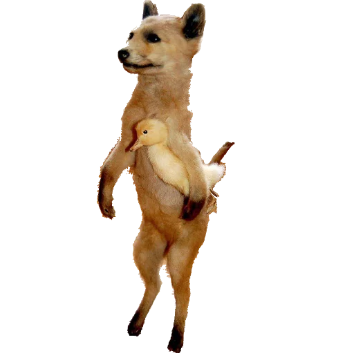 🐆 Стикер «taxiderm» для Telegram