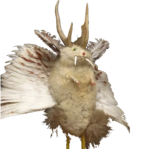 🎃 Стикер «taxiderm» для Telegram