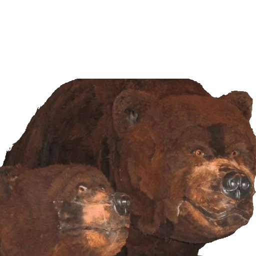 🐻 Стикер «taxiderm» для Telegram