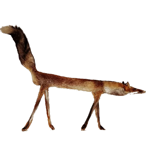 🐺 Стикер «taxiderm» для Telegram