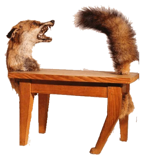 🐈 Стикер «taxiderm» для Telegram