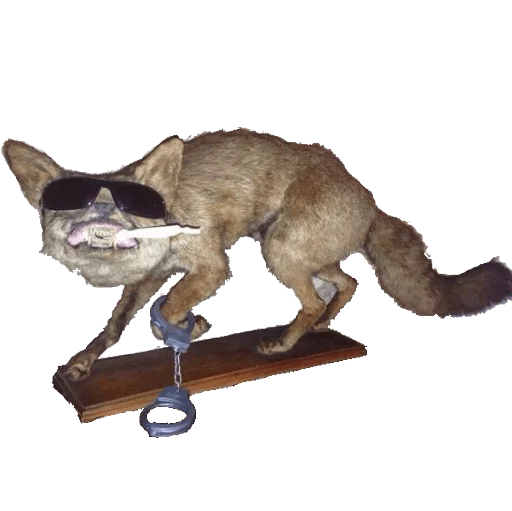 😎 Стикер «taxiderm» для Telegram