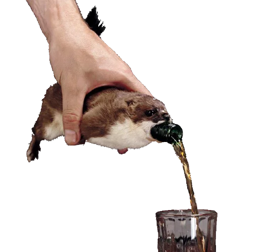 🍼 Стикер «taxiderm» для Telegram