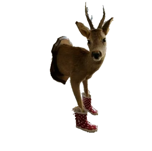 🐴 Стикер «taxiderm» для Telegram