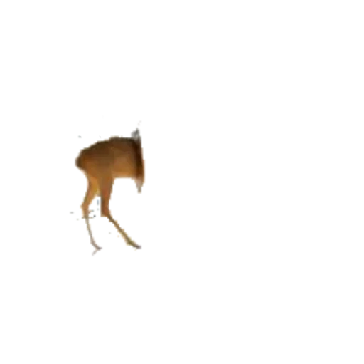 🍑 Стикер «taxiderm» для Telegram