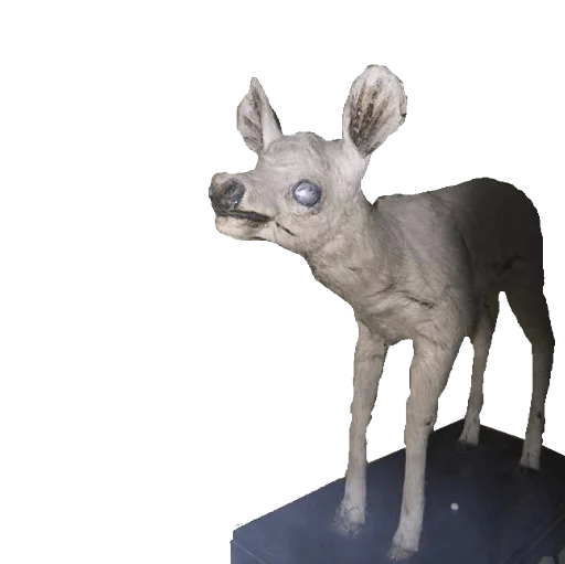 🐐 Стикер «taxiderm» для Telegram