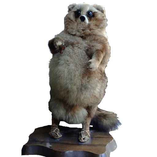 🐻 Стикер «taxiderm» для Telegram