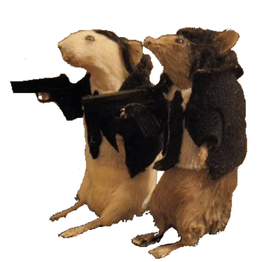 🐀 Стикер «taxiderm» для Telegram