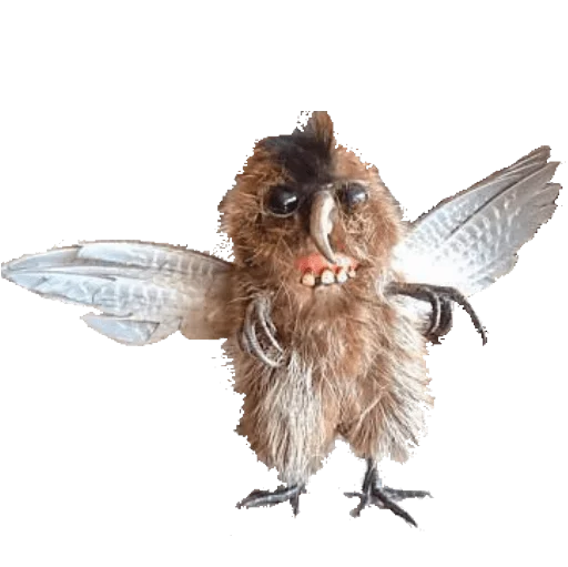 🎃 Стикер «taxiderm» для Telegram