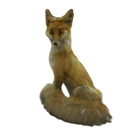 🤨 Стикер «Taxidermy» для Telegram