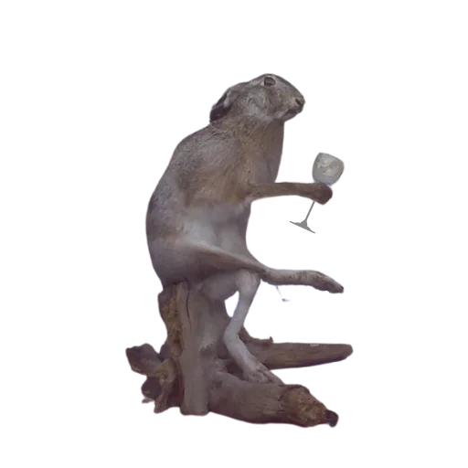 🍷 Стикер «Taxidermy» для Telegram
