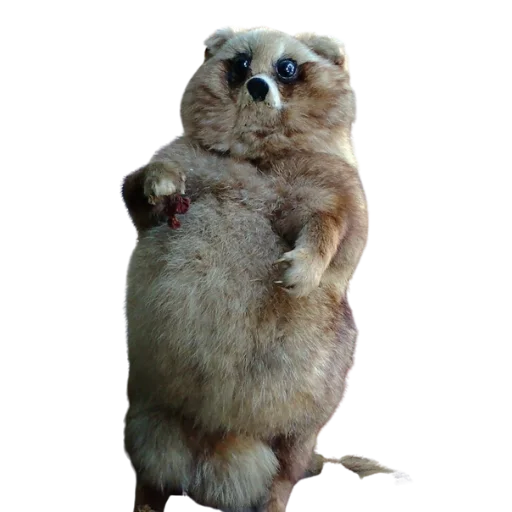 🤤 Стикер «Taxidermy» для Telegram
