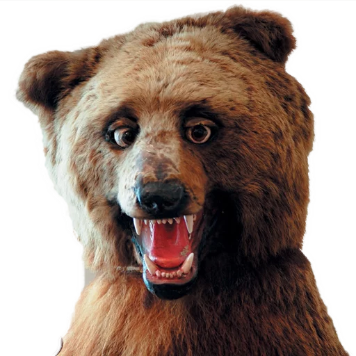 😒 Стикер «Texiderpy!» для Telegram