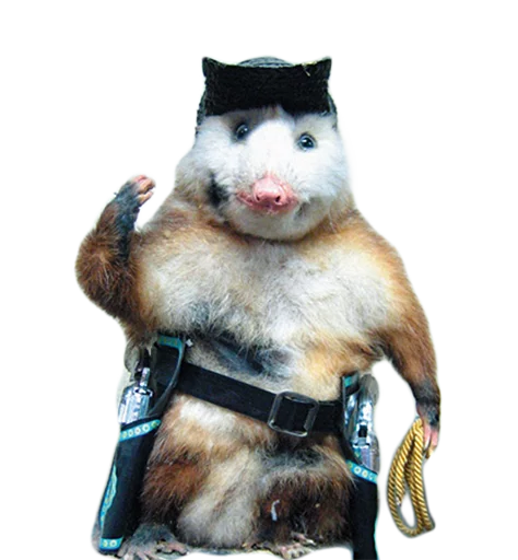 👨‍✈️ Стикер «Texiderpy!» для Telegram