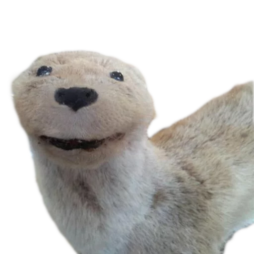 🙂 Стикер «Texiderpy!» для Telegram