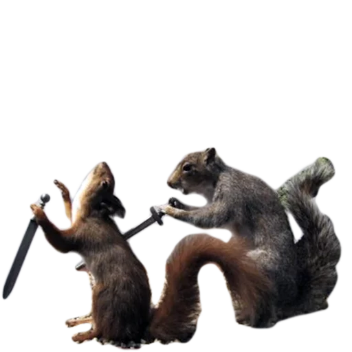 💀 Стикер «Texiderpy!» для Telegram