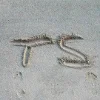 Стикер 30 Taylor Swift