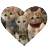 Стикер 9 Taylor Swift