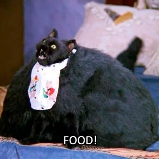 🍕 Стикер «Cat Salem» для Telegram