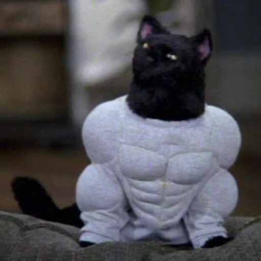 💪 Стикер «Cat Salem» для Telegram