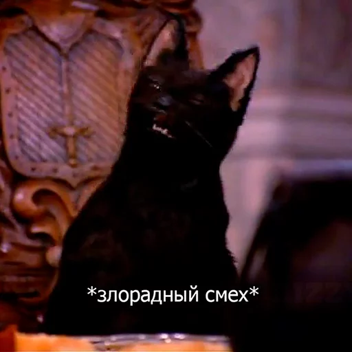 😈 Стикер «Cat Salem» для Telegram