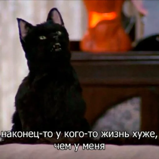 😬 Стикер «Cat Salem» для Telegram