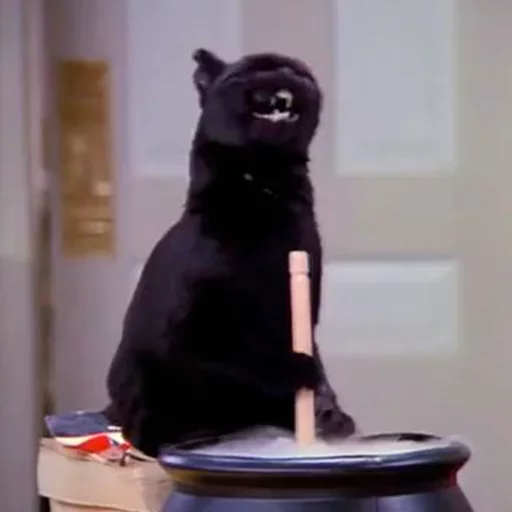 👨 Стикер «Cat Salem» для Telegram