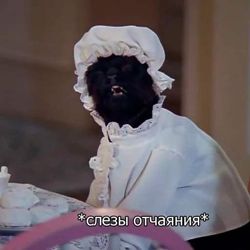 😿 Стикер «Cat Salem» для Telegram