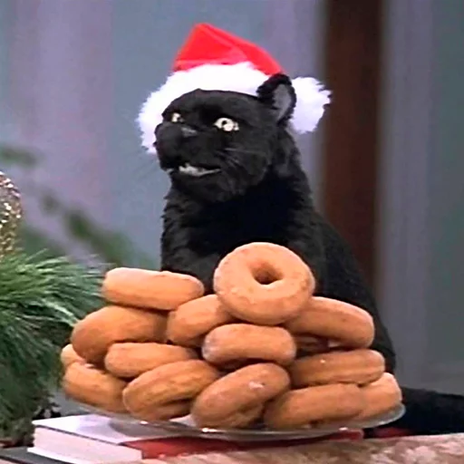 🍩 Стикер «Cat Salem» для Telegram