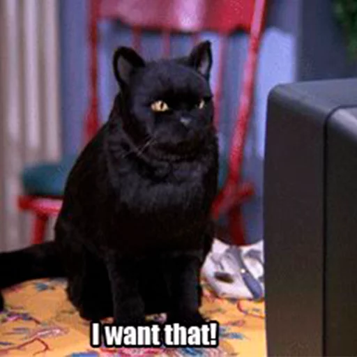 🙀 Стикер «Cat Salem» для Telegram