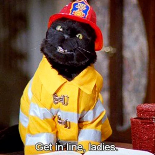 👨‍🚒 Стикер «Cat Salem» для Telegram