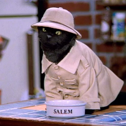 👷 Стикер «Cat Salem» для Telegram