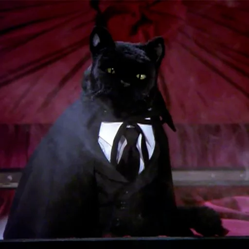 💫 Стикер «Cat Salem» для Telegram