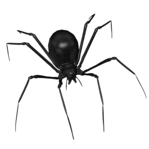 🕷️ Стикер «random cuties» для Telegram