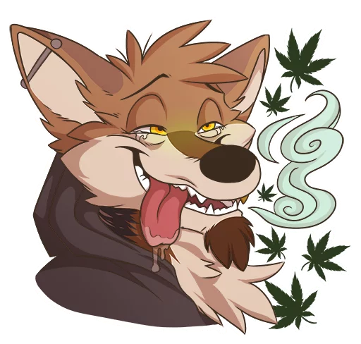 🍀 Стикер «TehJackal» для Telegram