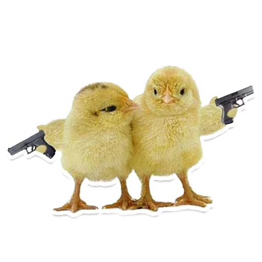 🤓 Стикер «Pets» для Telegram