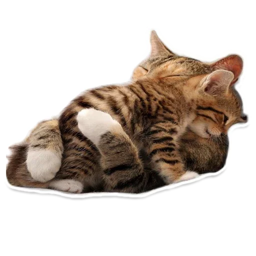 Стикерпак Pets для Telegram